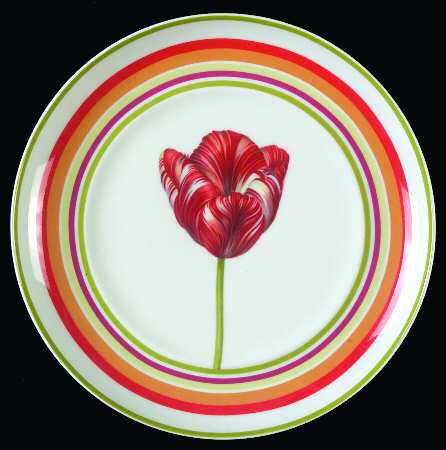 Maxima Salad Plate