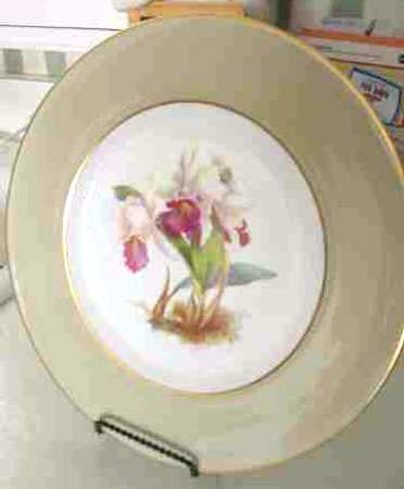 Y658h by Spode