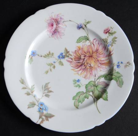 Chrysanthemum by Shelley