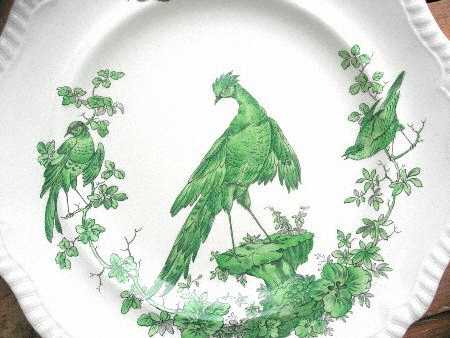 Black Bird Green by Spode