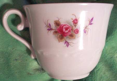 SCG74 Flat Cup