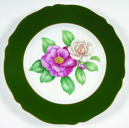 Y6923 Dinner Plate