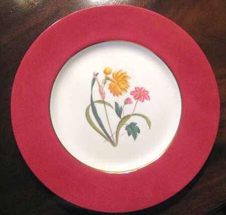 Y6364 Dinner Plate