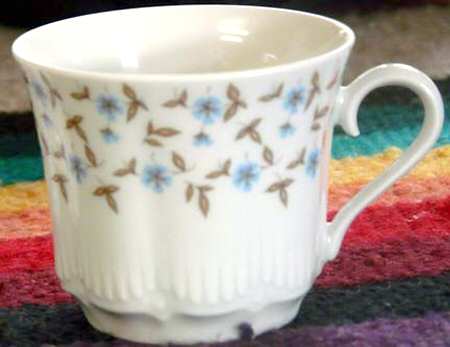 SCG78 Flat Cup