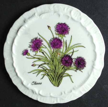 8487 Wall Plate