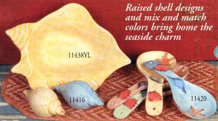 Shell Collection by Saparna