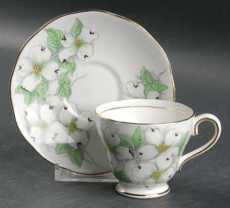 American Dogwood by Salisbury