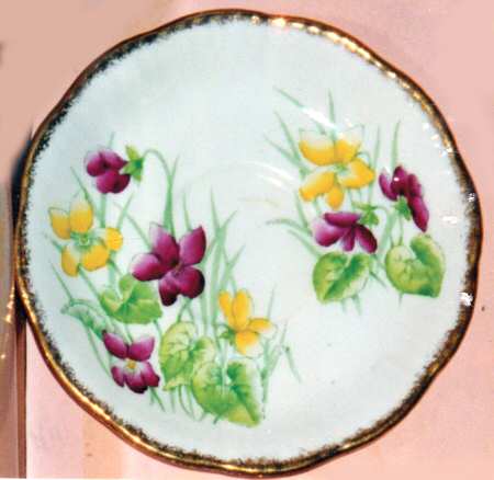 VIOLET by Salisbury