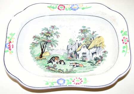 SP562 by Spode