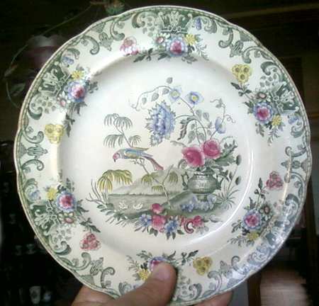 New Fayence by Spode