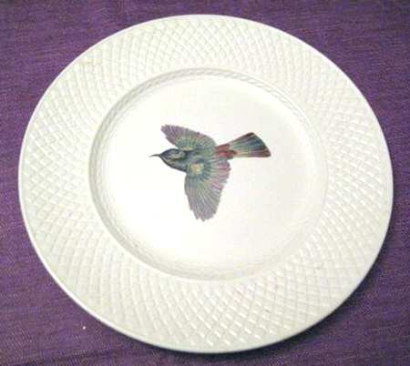 SP576 Dinner Plate