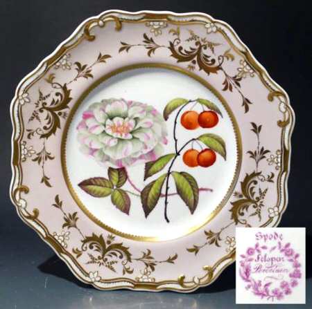 SP577 by Spode