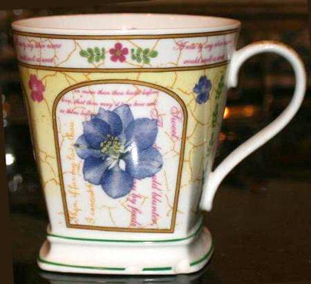 SUT61 Mug