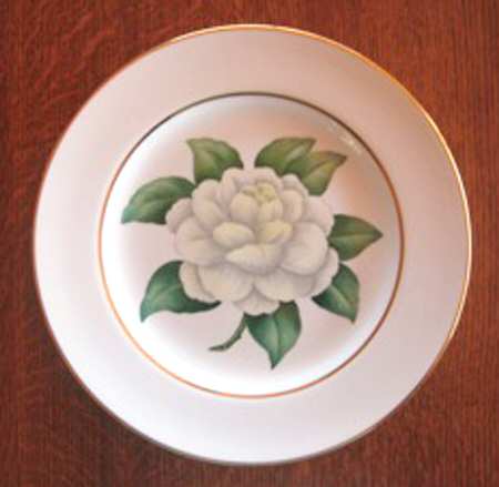Y6060 by Spode