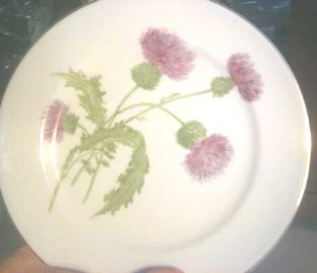 Scotch Thistle by Saji