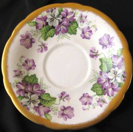 Devonshire Violets by Salisbury