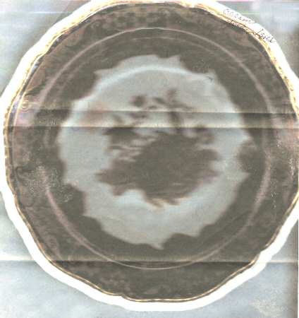 Imperial by Spode