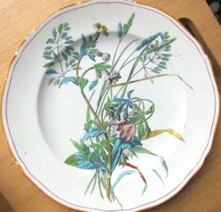 D9061 (Scalloped) by Spode