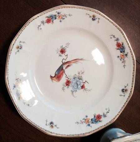 S1V9 Dinner Plate
