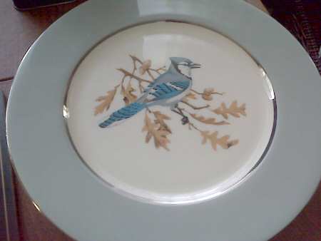 SYR5 Dinner Plate