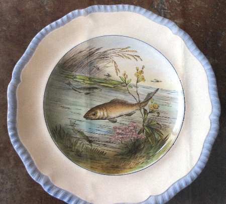 SP636 by Spode