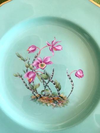 Y5627 Dinner Plate
