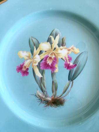Y5627 Dinner Plate