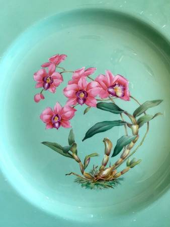 Y5627 Dinner Plate