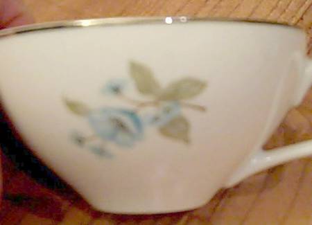 SAB116 Flat Cup