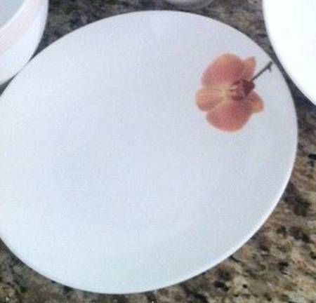 Serena Salad Plate