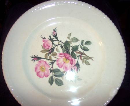 Wild Rose by Sovereign Potters