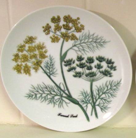 SHA5 (Smooth) Salad Plate