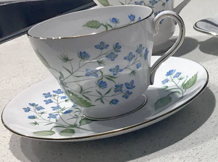 American Brooklime Footed Cup & Saucer Set