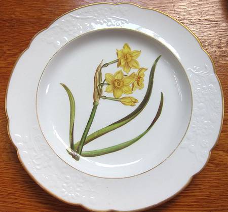 SP680 by Spode