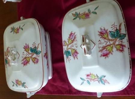 STB428 Rectangular Covered Vegetable