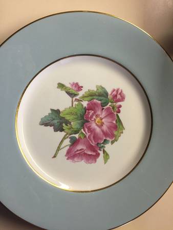 Y5438E Dinner Plate