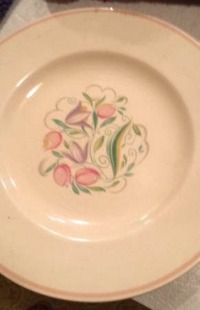 Dresden Spray Pink Band Dinner Plate