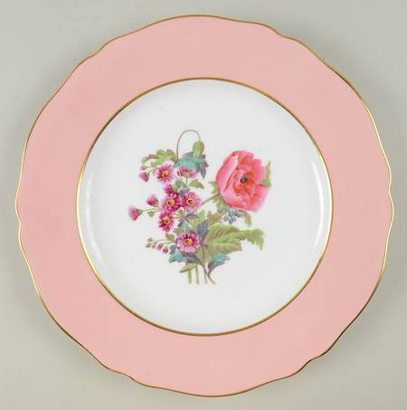 Y4625 (Scalloped) by Spode