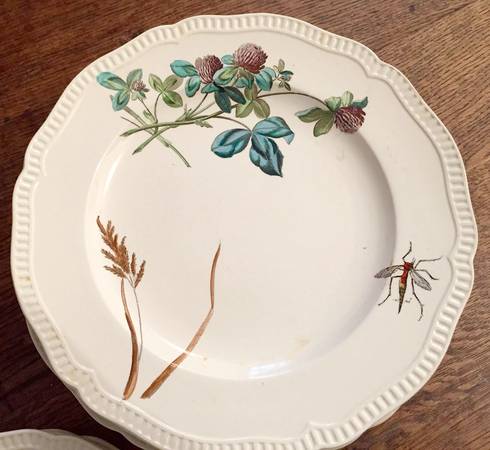 SP711 by Spode