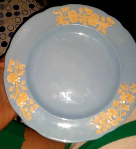 R8599 by Spode