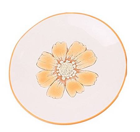 Vibrant Daisy Appetizer Plate