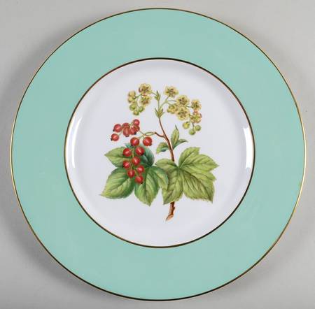 Y6238 Dinner Plate
