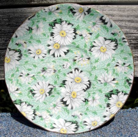 Green Daisy by Shelley