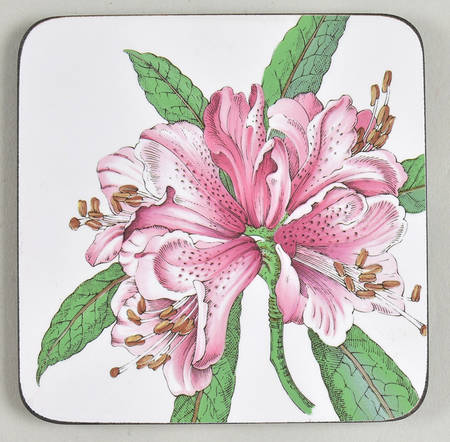 Stafford Blooms Square Corkback Coaster