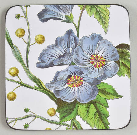 Stafford Blooms Square Corkback Coaster