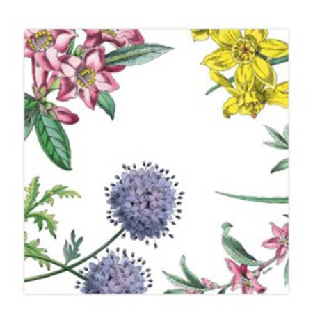 Stafford Blooms Package of Paper Luncheon Napkins