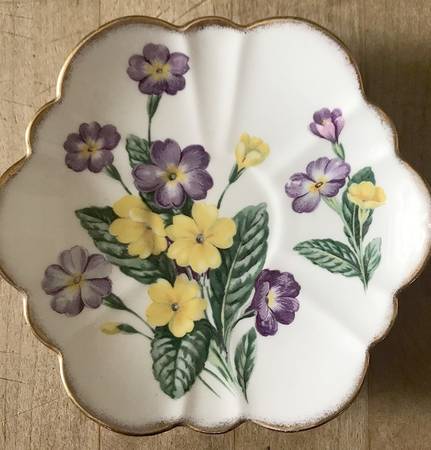 Primula by Salisbury