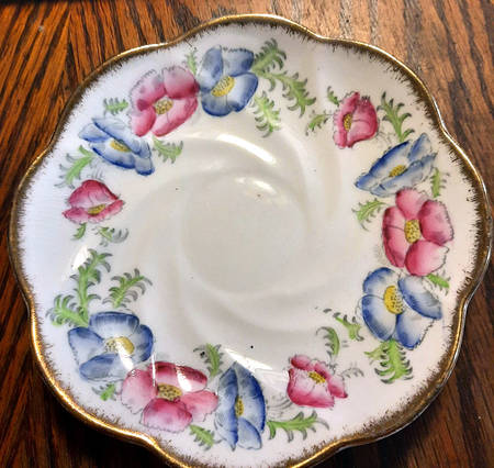Convolvulus Pink Saucer