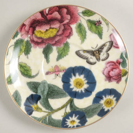 Creatures of Curiosity Saucer for Footed Cup