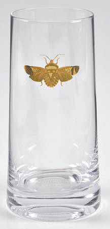 Creatures of Curiosity Glassware Highball